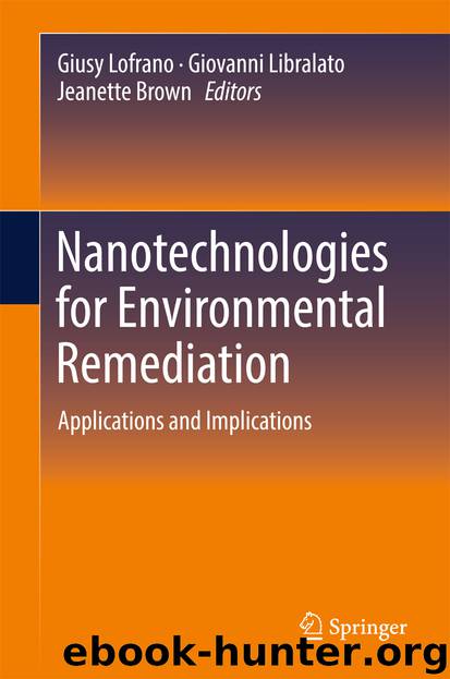Nanotechnologies for Environmental Remediation by Giusy Lofrano Giovanni Libralato & Jeanette Brown