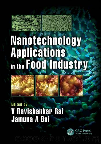 Nanotechnology Applications in the Food Industry by V Ravishankar Rai