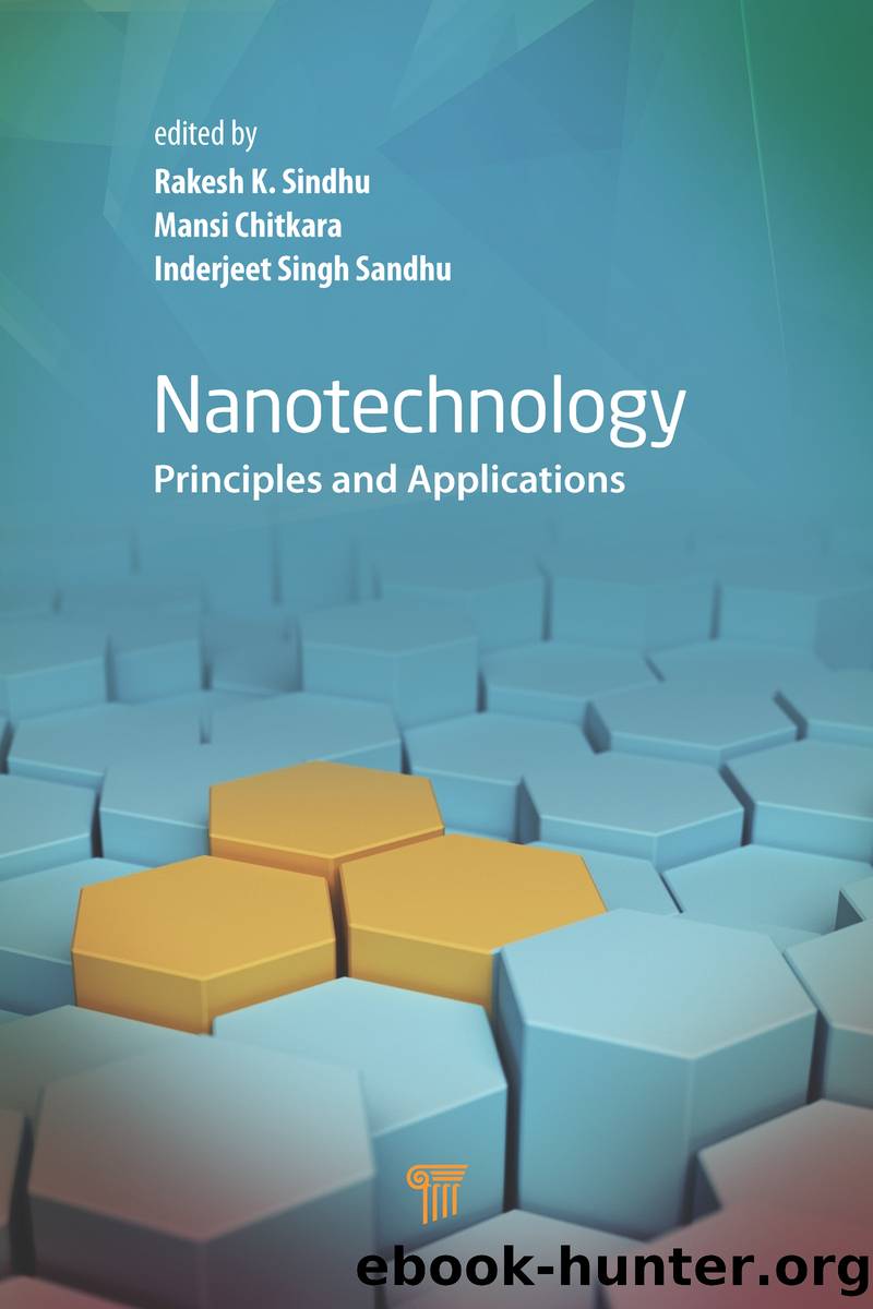 Nanotechnology by Rakesh K. Sindhu