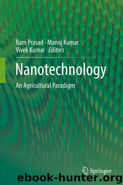 Nanotechnology by Ram Prasad Manoj Kumar & Vivek Kumar