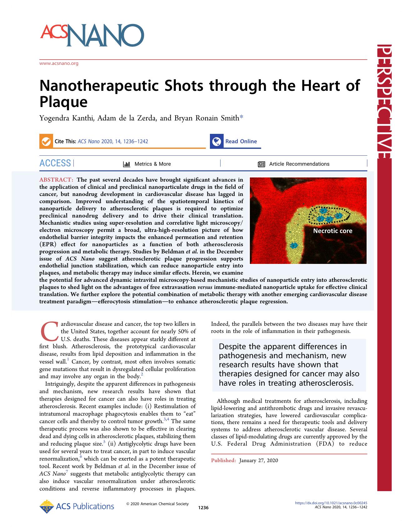 Nanotherapeutic Shots through the Heart of Plaque by Yogendra Kanthi Adam de la Zerda and Bryan Ronain Smith