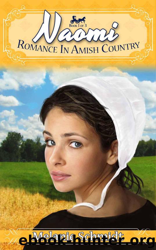 Naomi's Story: A Romance in Amish Country Story by Schmidt Melanie
