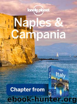 Naples & Campania by Lonely Planet