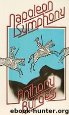 Napoleon Symphony by Burgess Anthony
