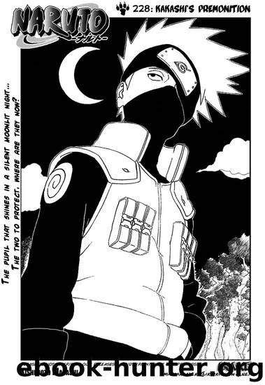 Naruto 228 by Masashi Kishimoto