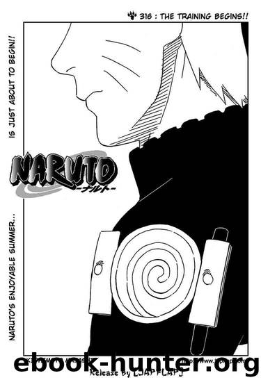 Naruto 316 by Masashi Kishimoto