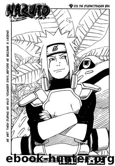 Naruto 373 by Masashi Kishimoto