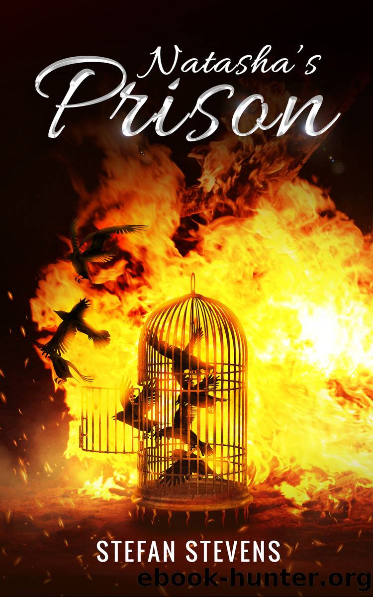 Natasha's Prison by Stefan Stevens