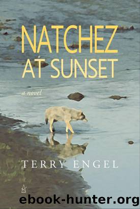 Natchez at Sunset by Terry Engel