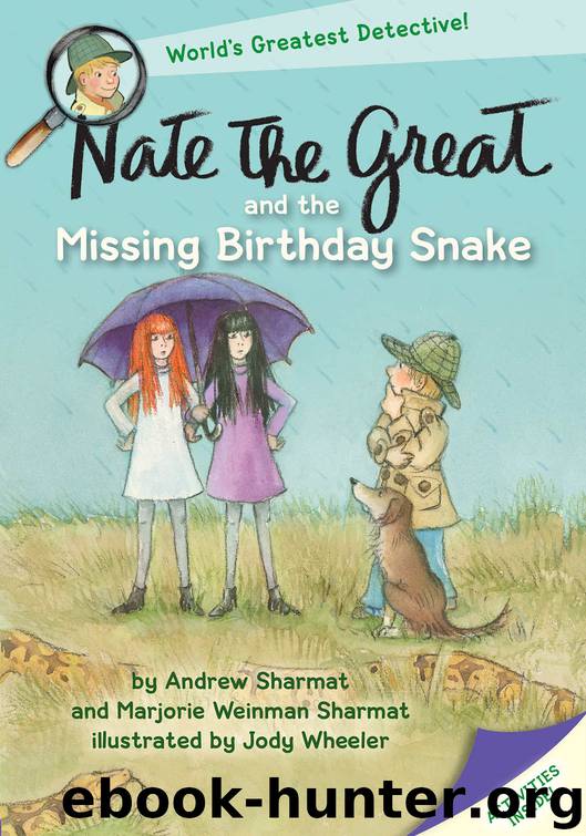 Nate the Great and the Missing Birthday Snake by Andrew Sharmat & Marjorie Weinman Sharmat