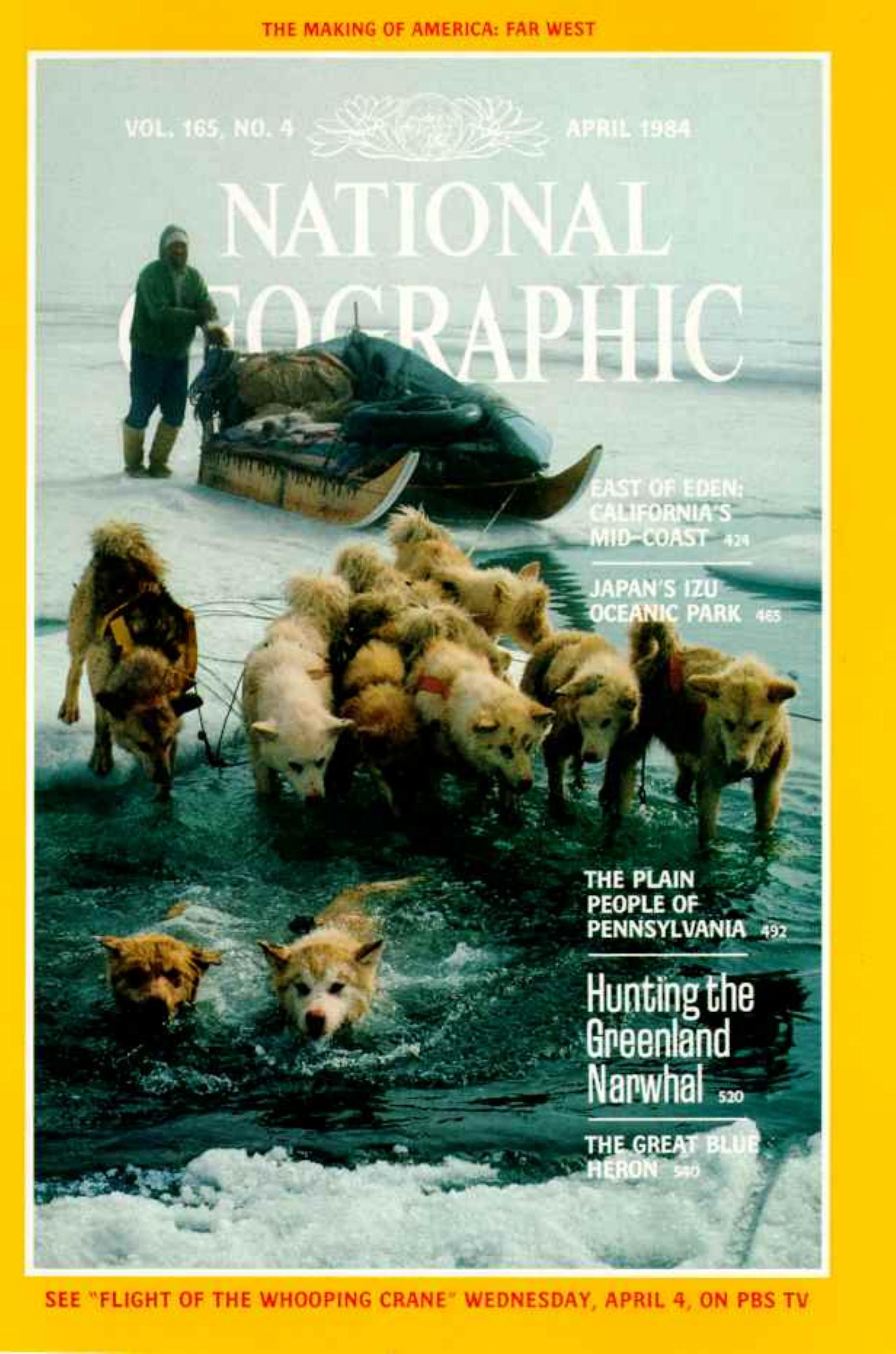 National Geographic 165-4 by Apr 1984