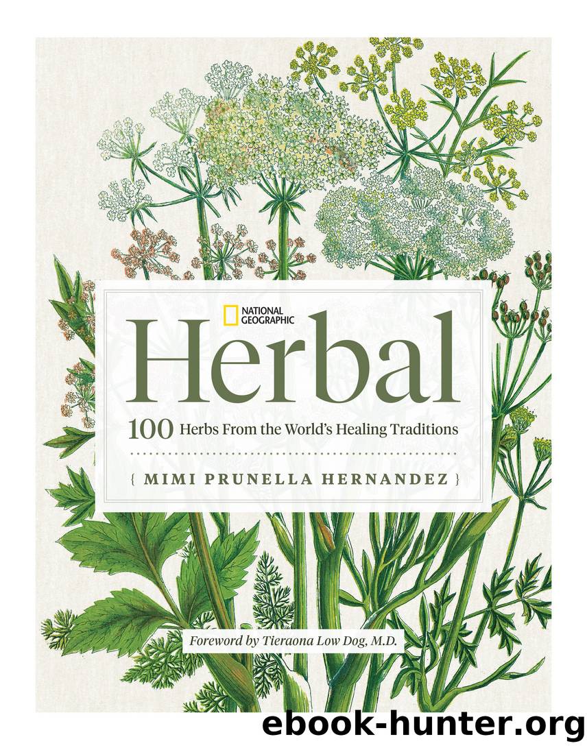 National Geographic Herbal by Mimi Prunella Hernandez