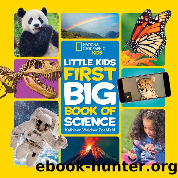 National Geographic Little Kids First Big Book of Science (Little Kids First Big Books) by Kathleen Zoehfeld