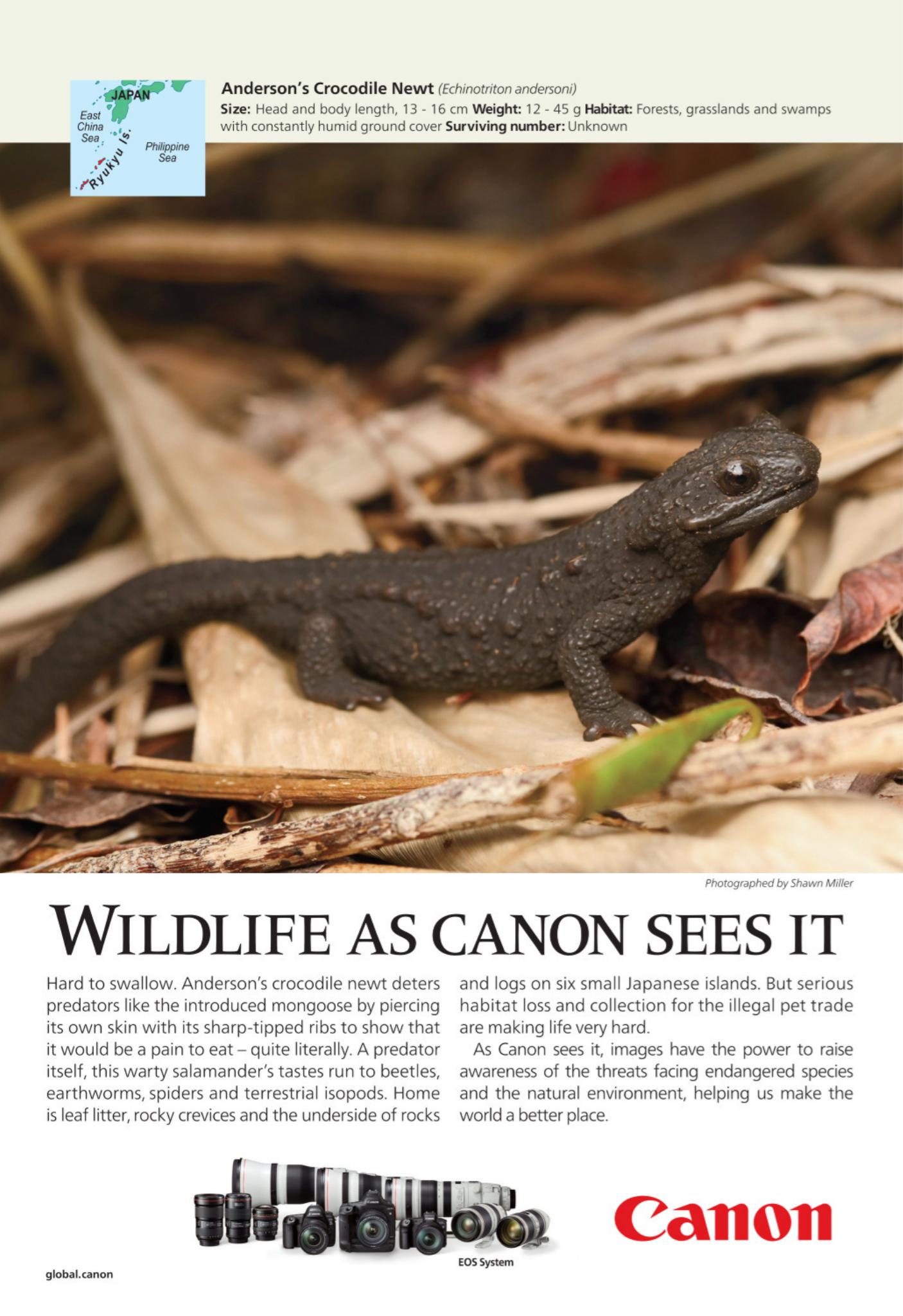 National Geographic Traveller UK - August 2020 by Unknow