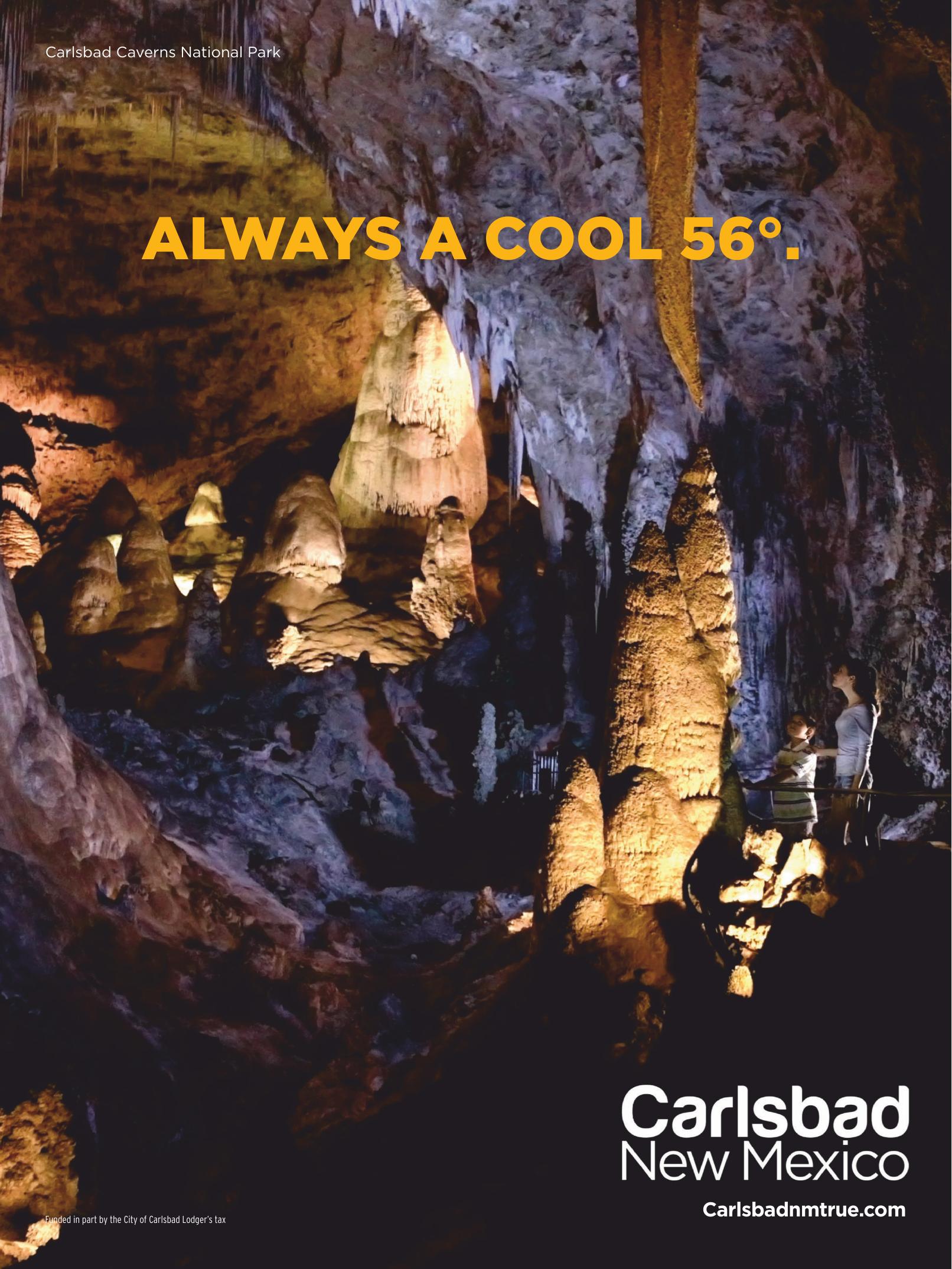 National Park Journal - October 2020 by Unknow