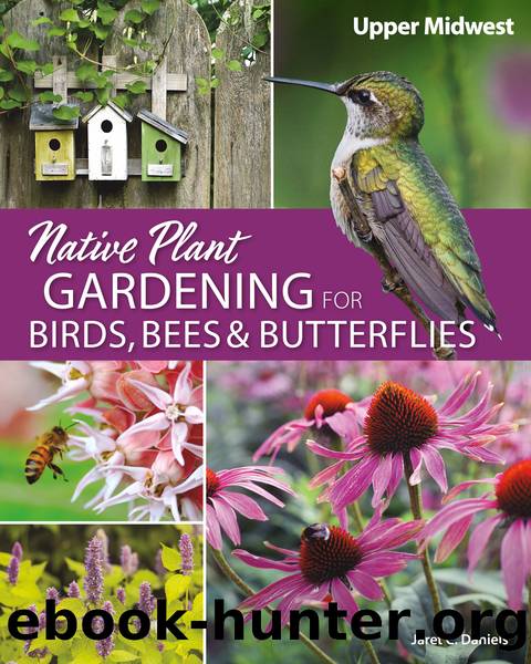 Native Plant Gardening for Birds, Bees & Butterflies: Upper Midwest by Daniels Jaret C.;
