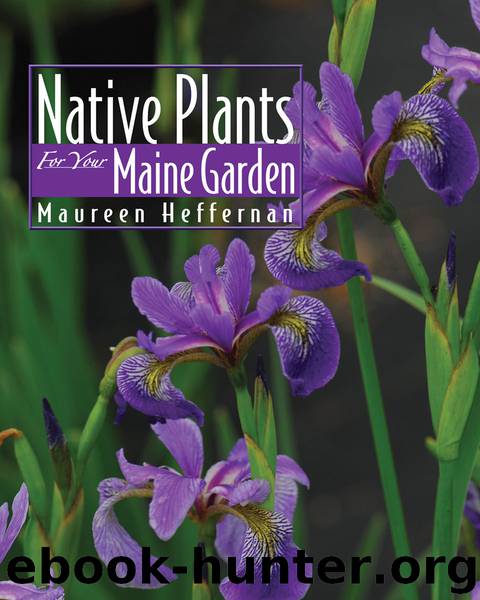 Native Plants for Your Maine Garden by Heffernan Maureen