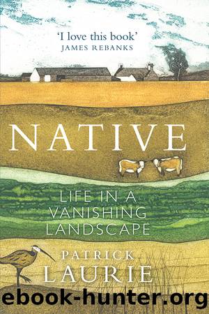 Native by Patrick Laurie