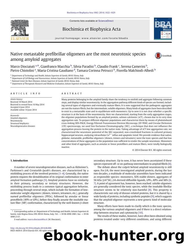 Native metastable prefibrillar oligomers are the most neurotoxic species among amyloid aggregates by unknow