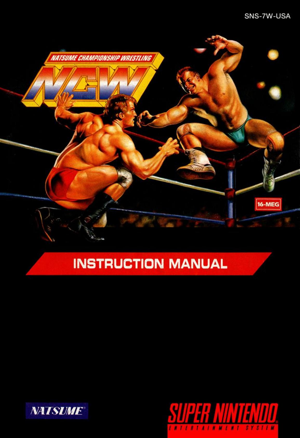Natsume Championship Wrestling (USA) by Jonathan Grimm