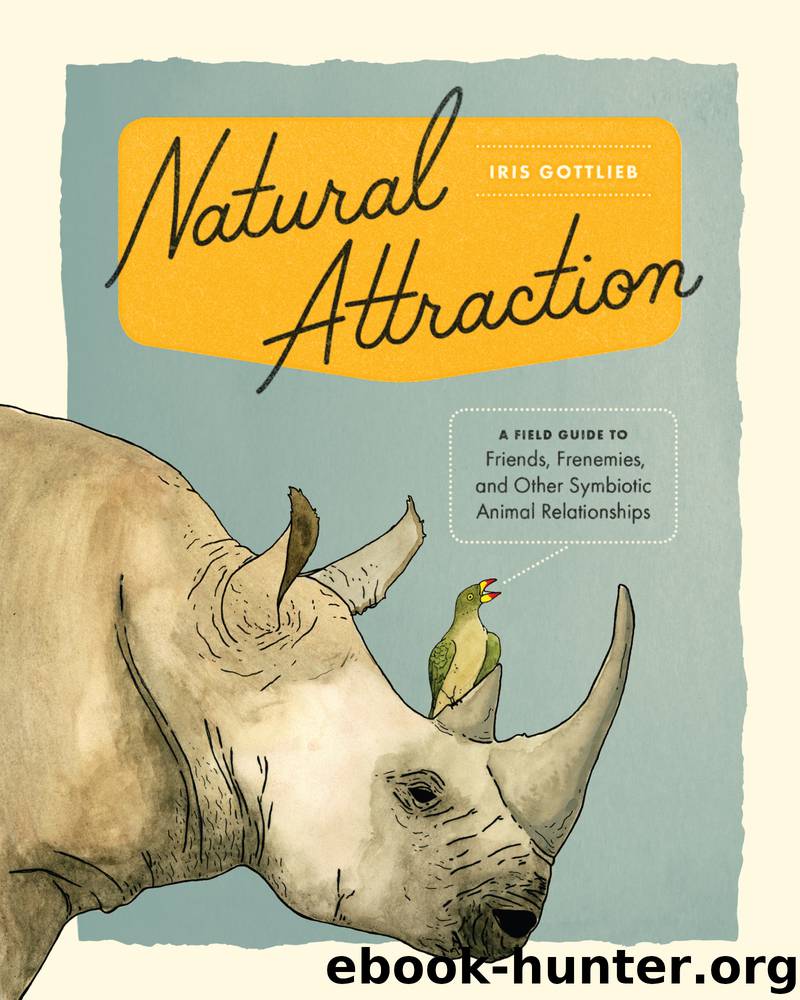 Natural Attraction by Iris Gottlieb