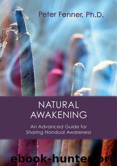 Natural Awakening: An Advanced Guide for Sharing Nondual Awareness by Peter G. Fenner