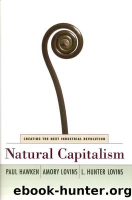 Natural Capitalism by Paul Hawken & Amory Lovins & L. Hunter Lovins