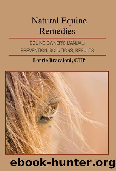 Natural Equine Remedies by Bracaloni Lorrie