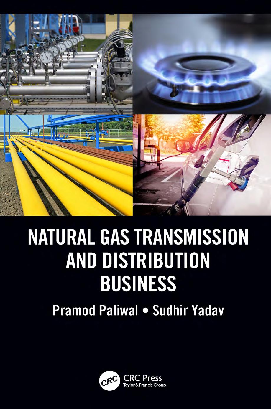 Natural Gas Transmission and Distribution Business by Unknow