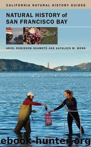 Natural History of San Francisco Bay by Ariel Rubissow Okamoto & Kathleen M. Wong