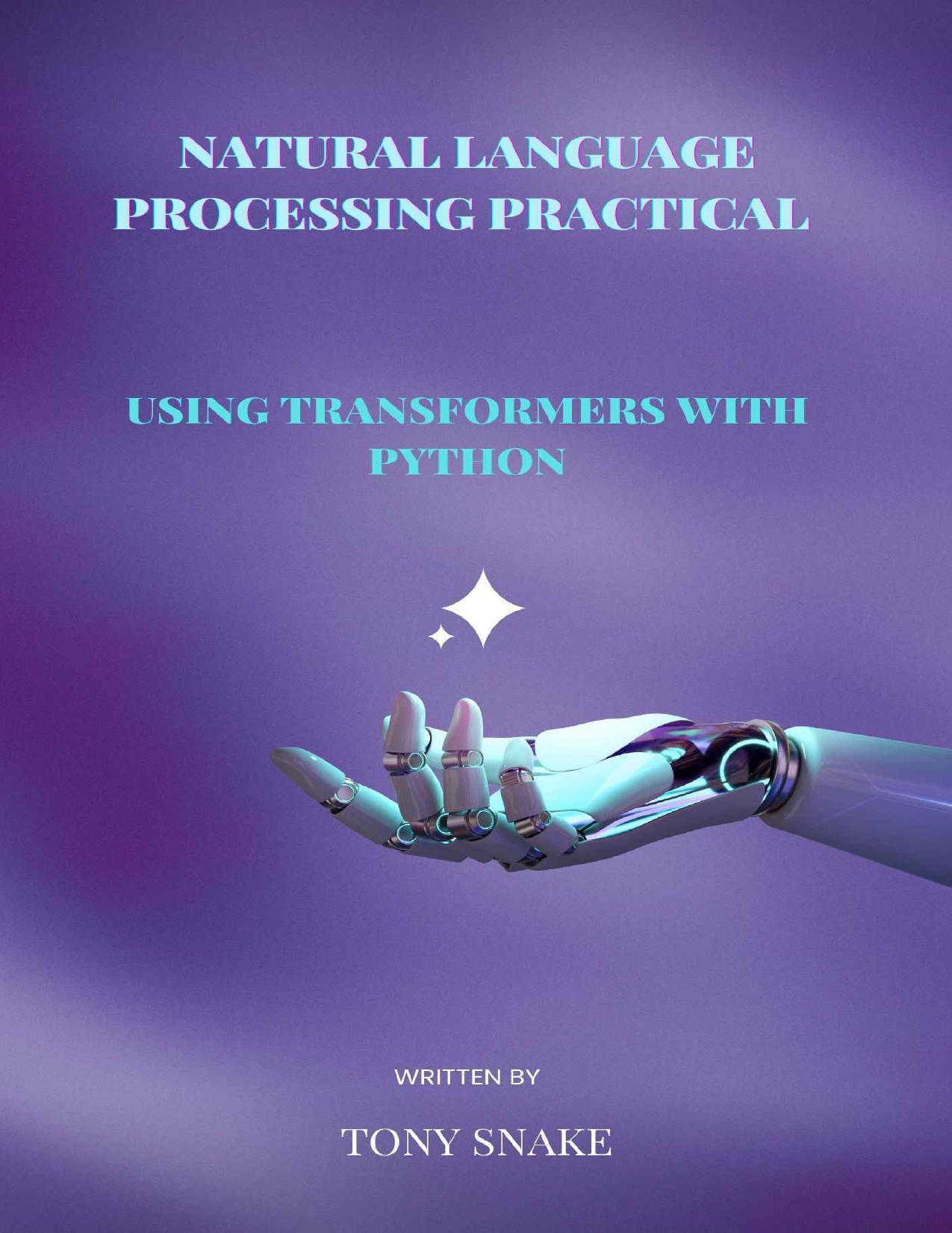Natural Language Processing Practical using Transformers with Python by Tony Snake