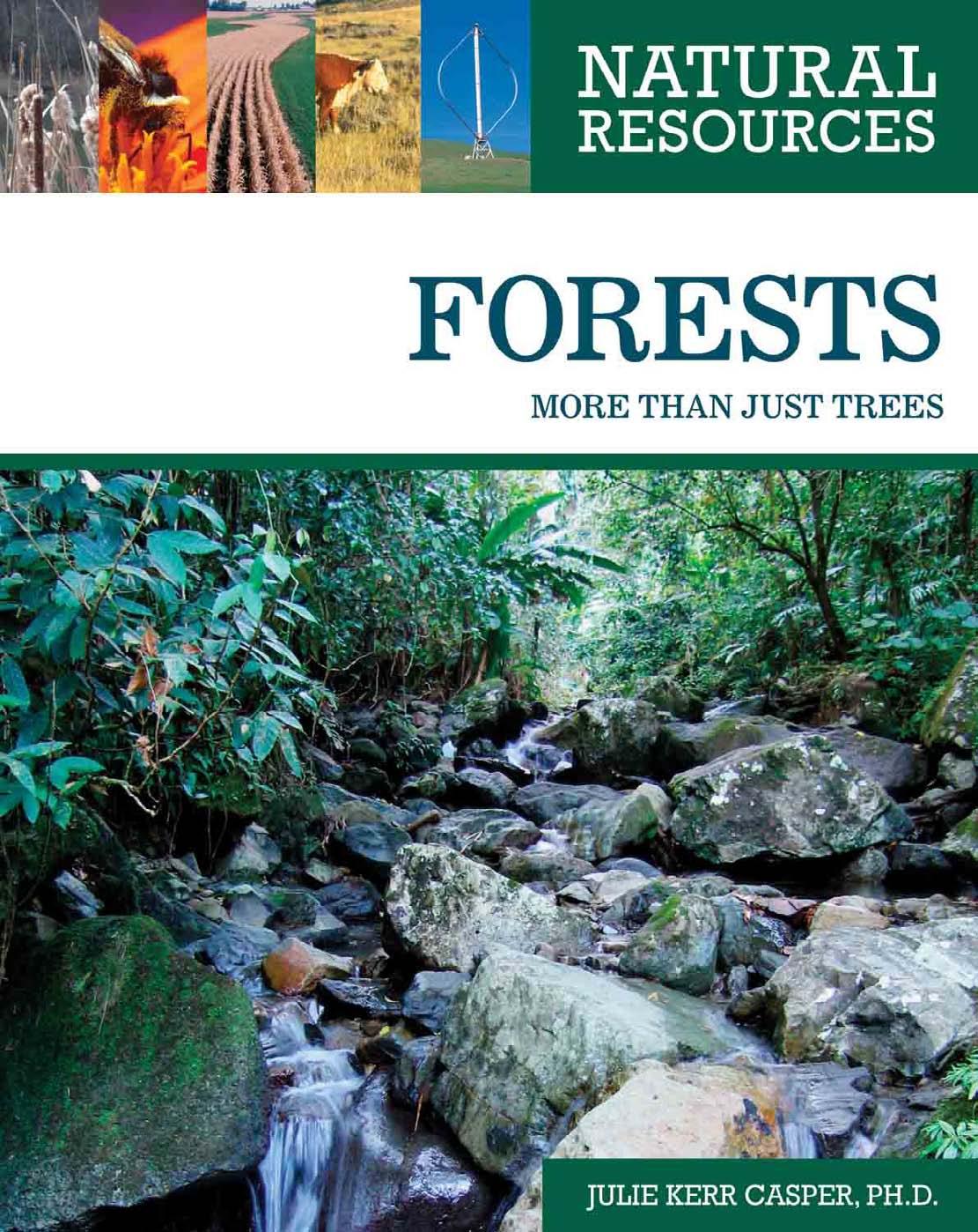 Natural Resources by Forests--More Than Just Trees