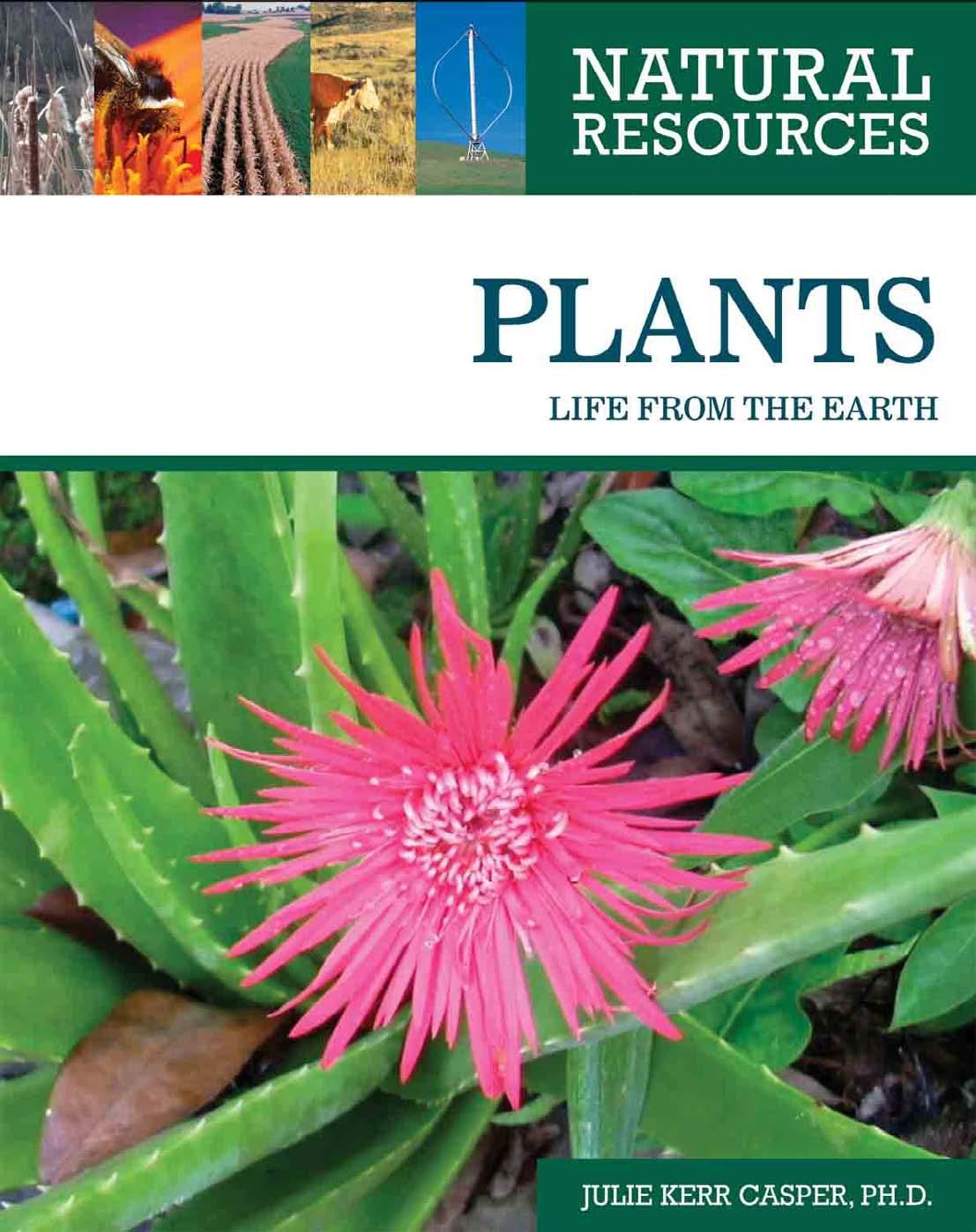 Natural Resources by Plants--Life from the Earth