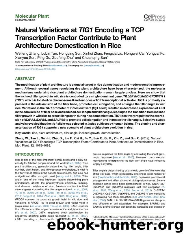 Natural Variations at TIG1 Encoding a TCP Transcription Factor Contribute to Plant Architecture Domestication in Rice by unknow