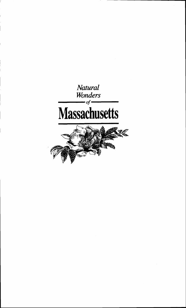 Natural Wonders of Massachusetts: A Guide to Parks, Preserves & Wild Places (Natural Wonders Of...) by Nancy Prajzner