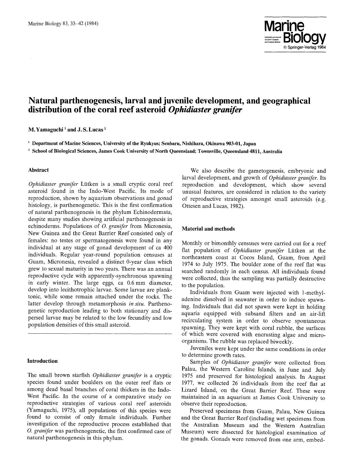 Natural parthenogenesis, larval and juvenile development, and geographical distribution of the coral reef asteroid <Emphasis Type="Italic">Ophidiaster granifer<Emphasis> by Unknown