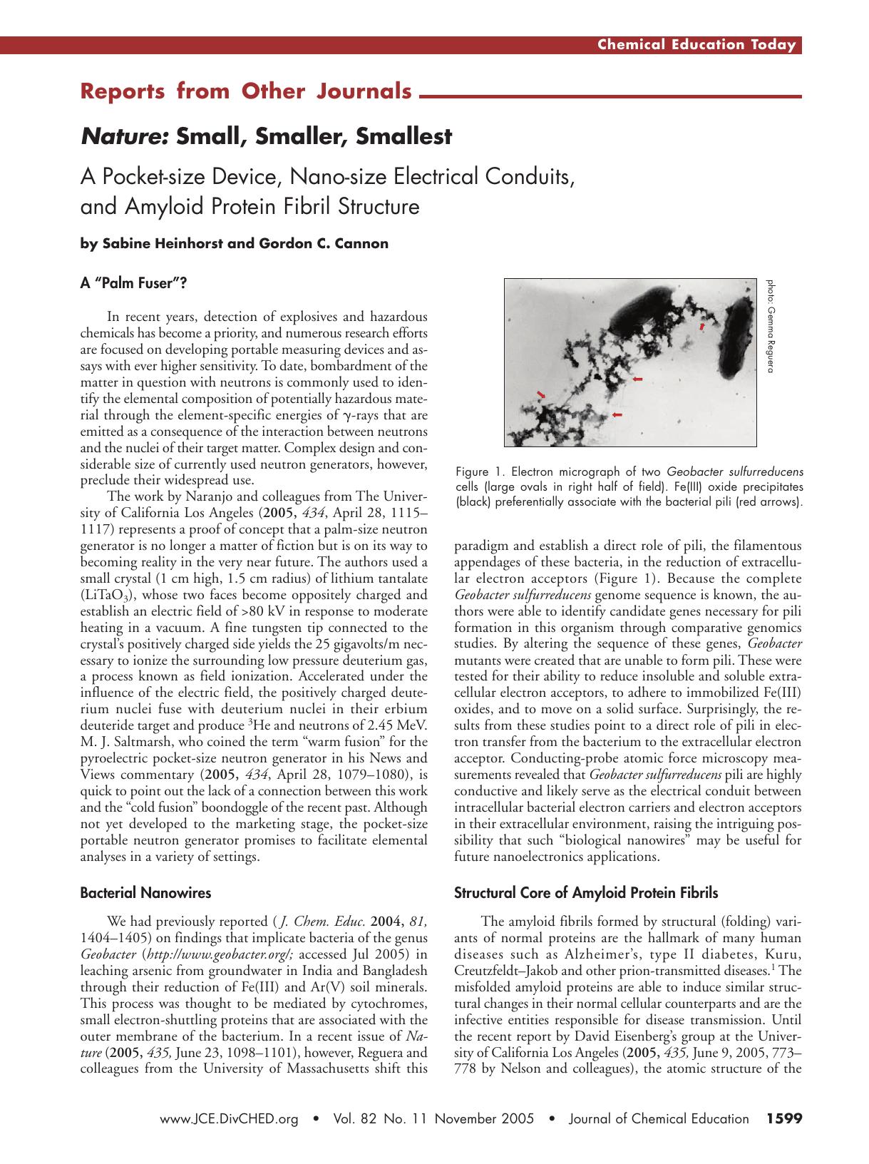 Nature : Small, Smaller, Smallest. A Pocket-size Device, Nano-size Electrical Conduits, and Amyloid Protein Fibril Structure by Sabine Heinhorst & Gordon Cannon