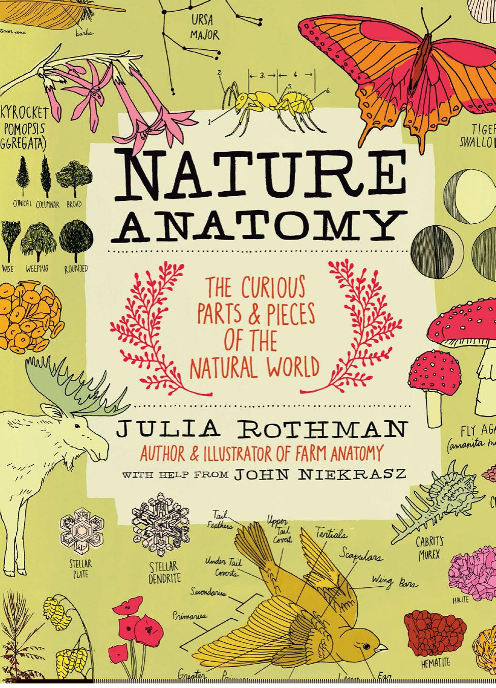 Nature Anatomy - The Curious Parts and Pieces of the Natural World by Julia Rothman