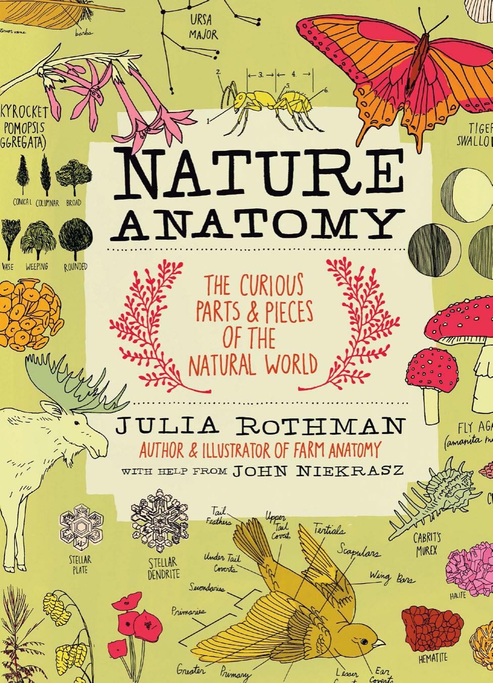 Nature Anatomy: The Curious Parts and Pieces of the Natural World by Unknow