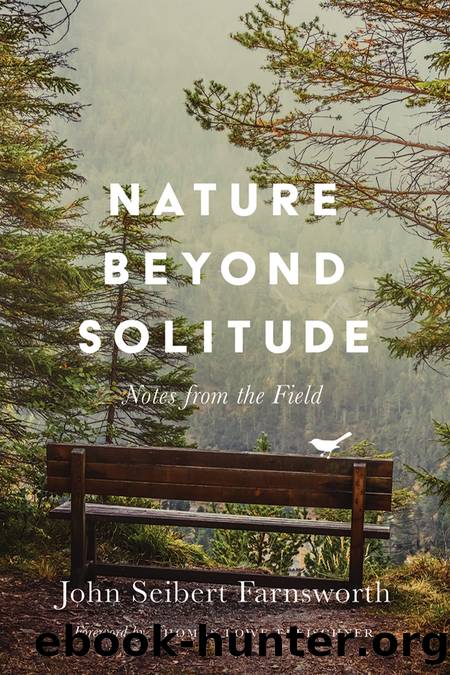 Nature Beyond Solitude by unknow