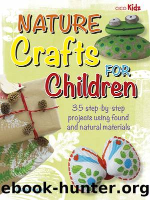 Nature Crafts for Children by Clare Youngs