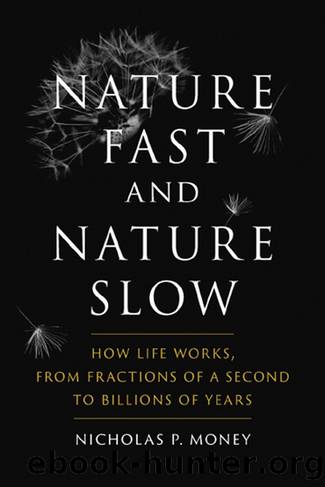 Nature Fast and Nature Slow by Nicholas P. Money