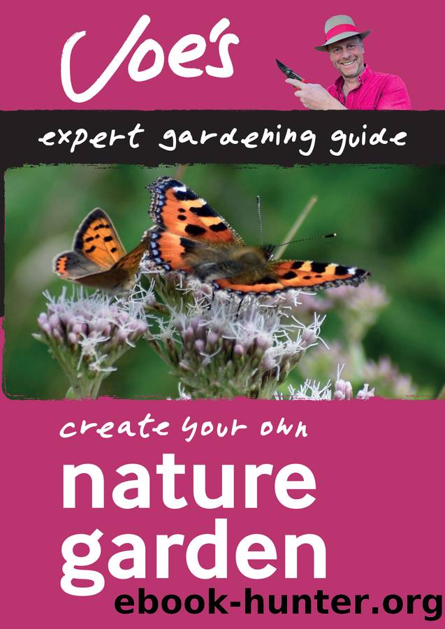 Nature Garden by Joe Swift