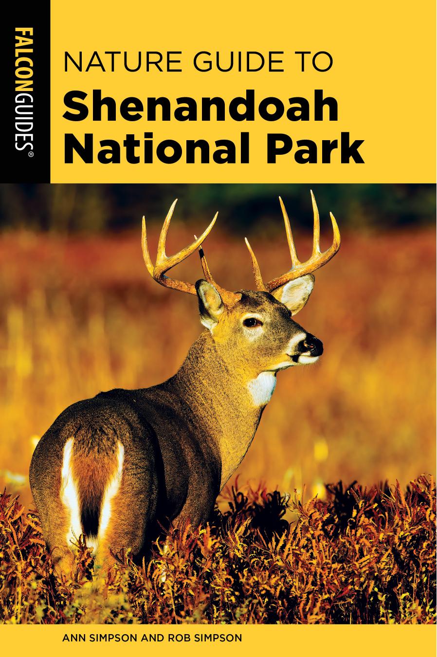 Nature Guide to Shenandoah National Park (The Shenandoah National Park: the Basics) by Ann Simpson Rob Simpson