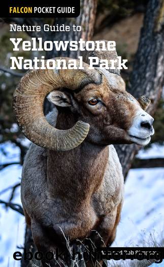 Nature Guide to Yellowstone National Park by Ann Simpson & Rob Simpson