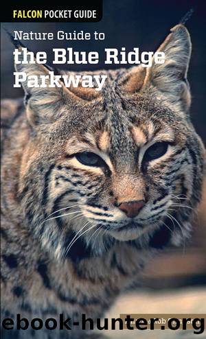 Nature Guide to the Blue Ridge Parkway by Simpson Ann;Simpson Rob; & Globe Pequot Press