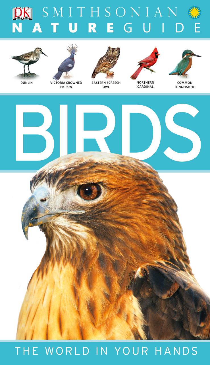 Nature Guide: Birds: The World in Your Hands (DK Nature Guide) [Repost] by David Burnie