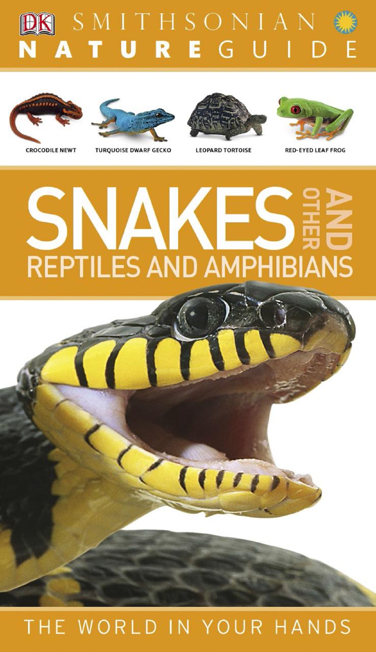 Nature Guide: Snakes and Other Reptiles and Amphibians by DK