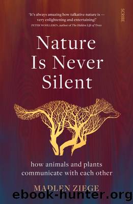 Nature Is Never Silent by Madlen Ziege