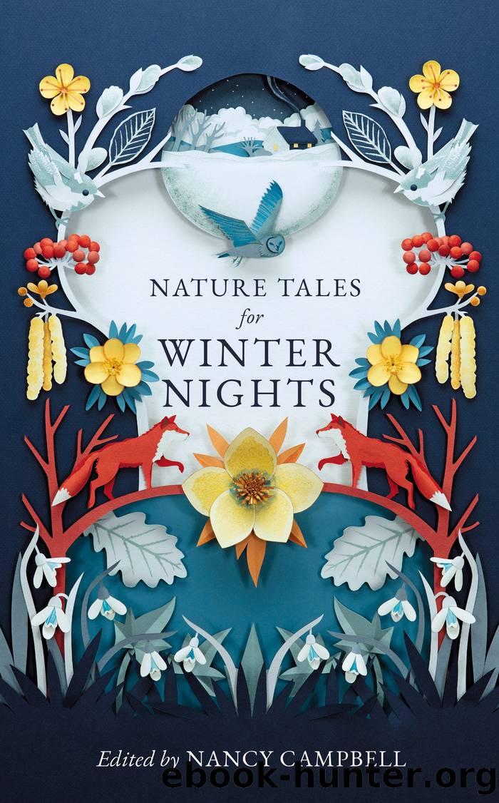 Nature Tales for Winter Nights by Nancy Campbell